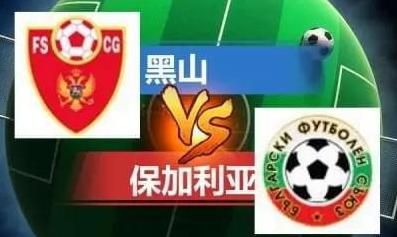 午夜视频1000部免费看