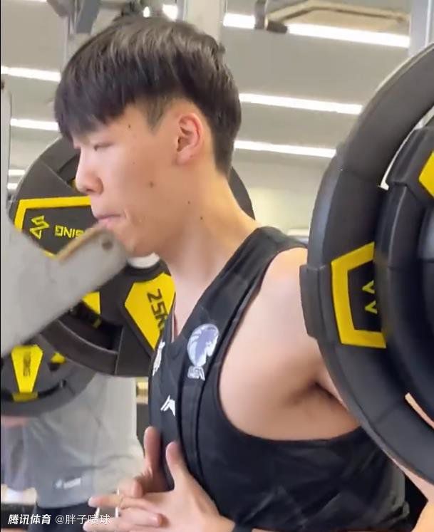 被诅咒的王子动画版免费观看