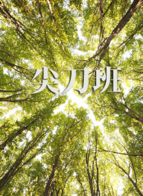 伊人网成人