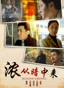 精品一区二区视频在线观看
