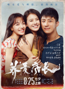 小蓝男同